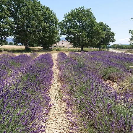 Holiday home Olivier, Ferme Bel Air *